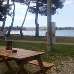 Timi Daire